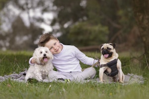 boy with his dogs